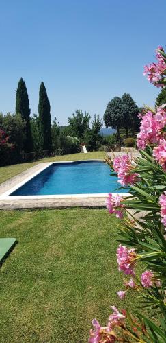 Case in campagna con piscina a Todi