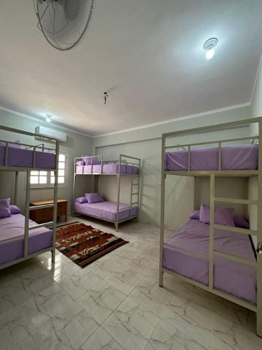 Skylen Hostel Room Type - Bed in 6-Bed Female Dormitory Room