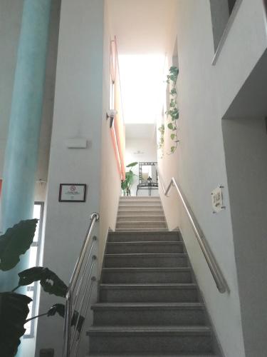 Hotel Balisa - image 10