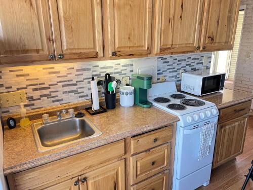 Centrally located Lakeside Studio Condo + Private Boat Dock in Conway, USA