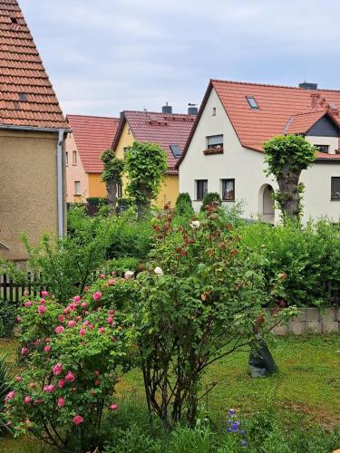 Ferienwohnung Rosengarten