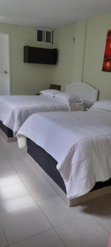Deluxe Queen Room with Two Queen Beds room in Hostal Brilliant