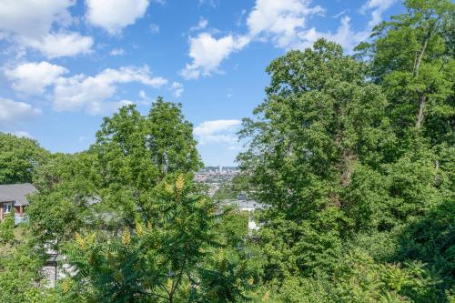 Amazing Downtown Views - 3 Minutes to Downtown! in Cincinnati, USA