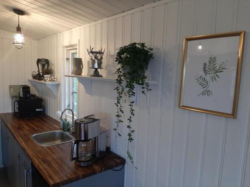 Guesthouse Holmur in Hornafjordur