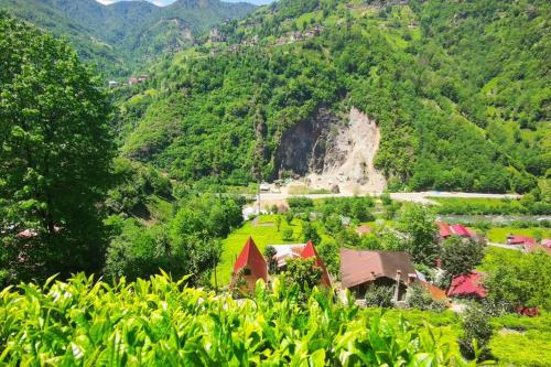 Begi Apart Bungalows Hotel - Çamlıhemşin