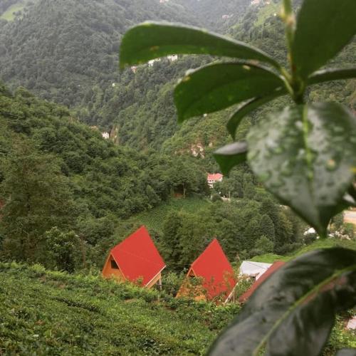  Begi Apart Bungalows Hotel - Çamlıhemşin in Rize