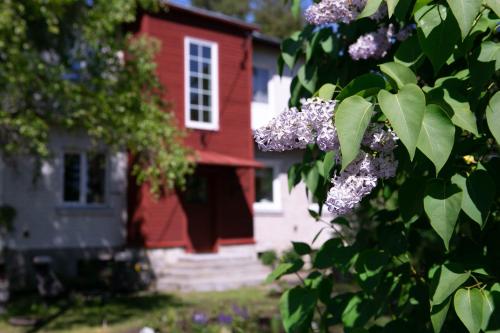 Lovely nest in Nõmme