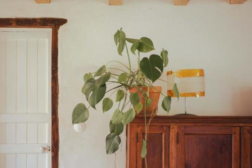 Maison Gamboia, chambres et table d'hôtes au calme avec jardin