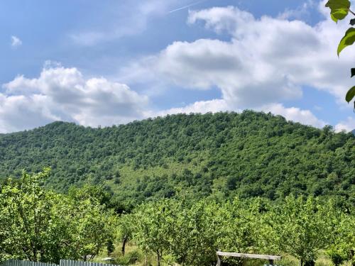 House in the village - APPLE PARADISE in Nohurqishlaq