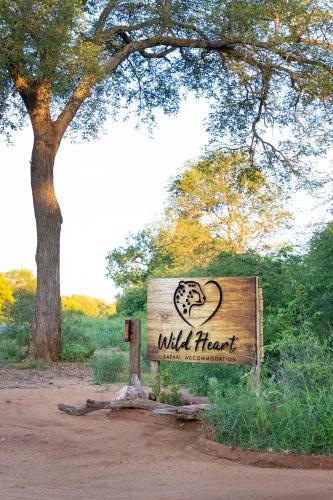 Wildheart Safari - MAIN Wildheart Safari - MAIN