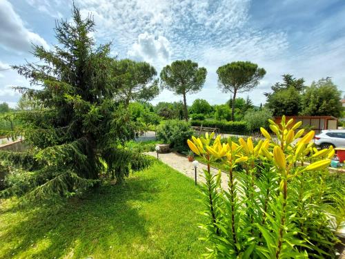 Casa Vacanze - La Ginestra 2