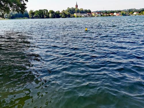 Tweet Tohuus in Feldberger Seenlandschaft