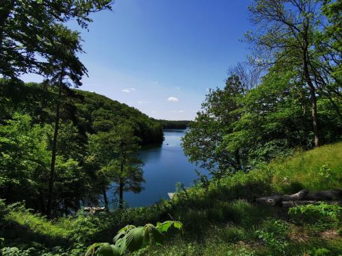 Tweet Tohuus in Feldberger Seenlandschaft