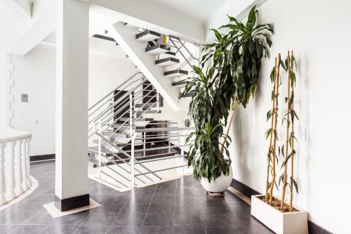 Létesítmények, Hotel Manantial Melgar in Melgar