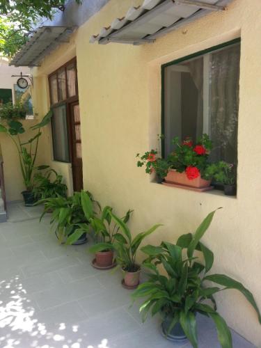 Apartments Darinka - image 9