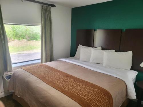 Pinetree Inn - image 11