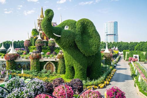 467449282 Holiday Inn & Suites - Dubai Science Park by IHG