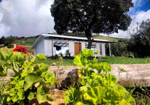 Kilátás, Finca La Piedra in Cuitiva