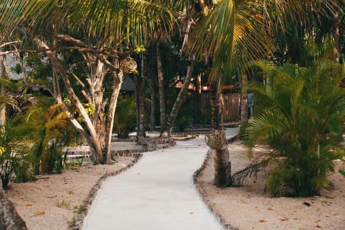 Bluebayou Bacalar