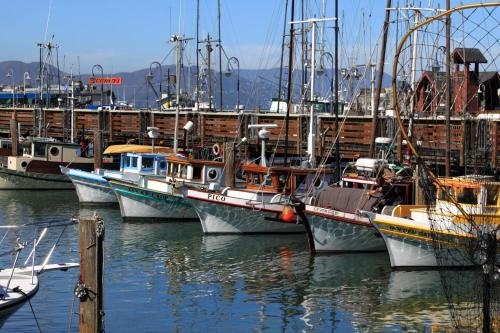 Courtyard by Marriott Fishermans Wharf - image 16