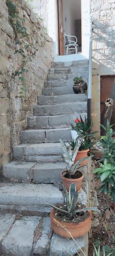 Milena, Petrovac na Moru (zdjęcie 6)