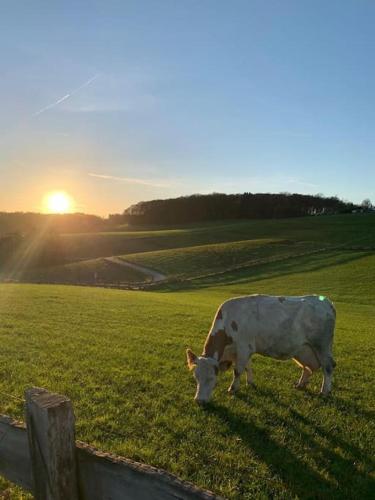 A környék, Büschem Wohlfühlparadies (Buschem Wohlfuhlparadies) in Lindlar