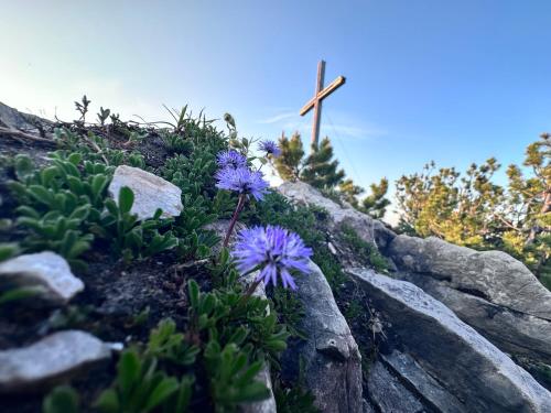 Ferienwohnung Gasser Hahnenkamm Blick in Reutte