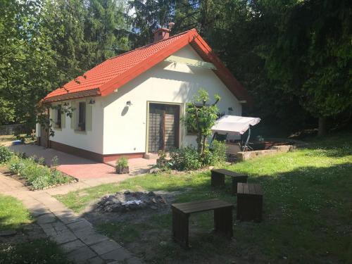 Accommodation in Brożówka