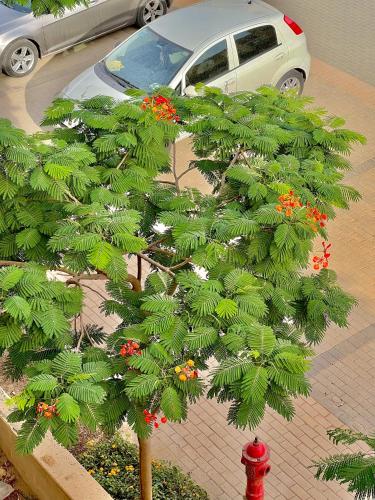 Ultra Luxury 3BR with Pools ,Sports ,Dining in Gated compound, Close to all sites