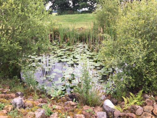 Cottage a la campagne avec piscine et SPA