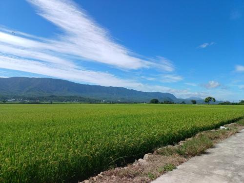 池上鄉屋 寵物友善民宿