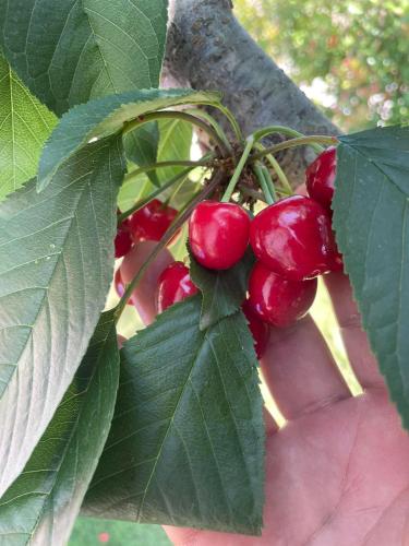 VILA KALIMERA private pool VILA KALIMERA private pool