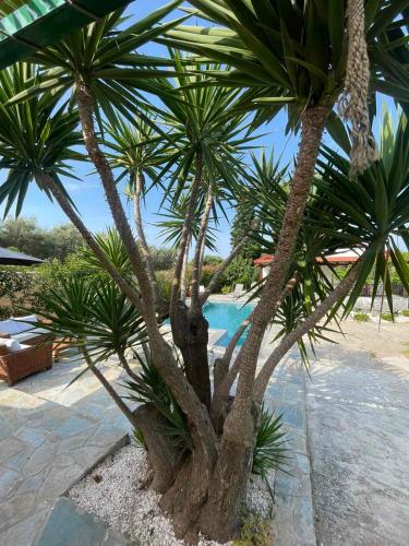 VILA KALIMERA private pool VILA KALIMERA private pool