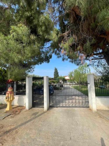 VILA KALIMERA private pool VILA KALIMERA private pool