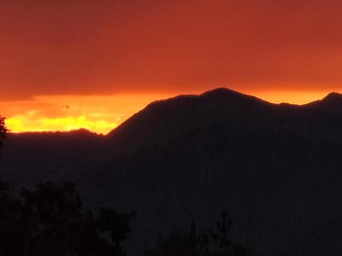 Alla tana del bianconiglio