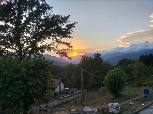 Alla tana del bianconiglio
