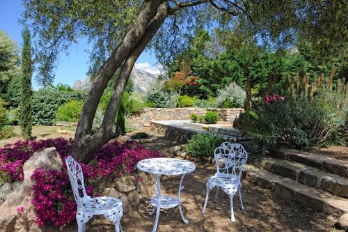 Chambre d'hôtes Et Camping Domaine Pero Longo