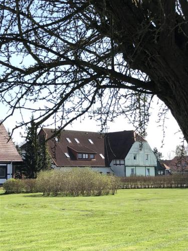 Fewo 72 Ferienwohnung in der Alten Brüterei in Roggow