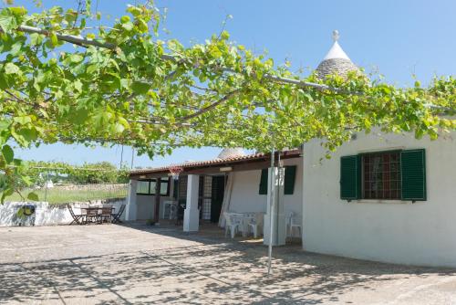 TRULLO LA GRANDE PERGOLA