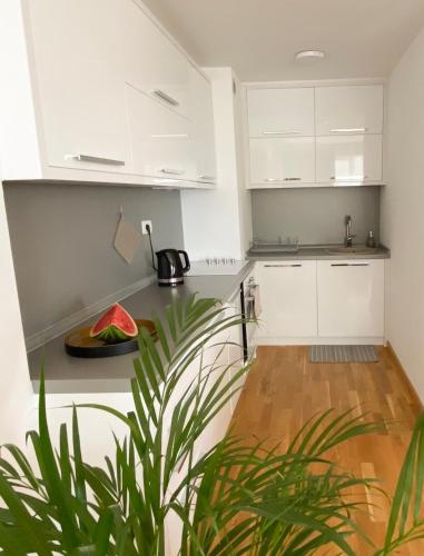 Apartments Hvala Montenegro - image 3