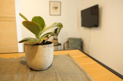 HOMY I Gemütliches Apartment Gohlis Netflix und W-LAN, Lipsko (fotografie 8)