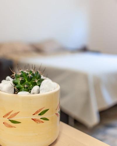 Nopal casa vacanze chambre d'hôte San Vito dei Normanni