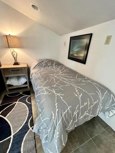 Denali Luxury King Studio Suite w/all amentities and Spectacular Views - image 11