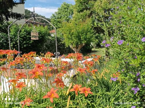 Amaryllis Case Vacanza – Arcola, PA
