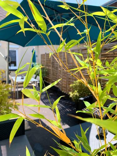 Eco-Appart'hôtel Rouen - BDE - image 2