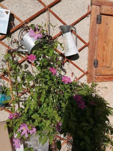 Studio en rez de chaussée, avec jardin partagé.