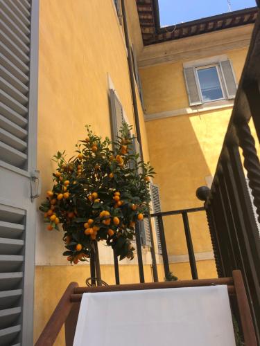 NEW! BELLISSIMO PalazzoFranchi Pantheon, Roma (foto 4)