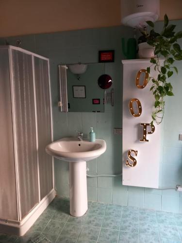 900 Bed and Breakfast – Nola, CO
