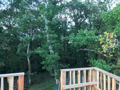 Tree house and shepherds hut & Hot Tub in 阿什伯頓