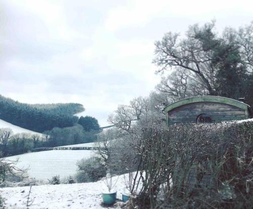 Tree house and shepherds hut & Hot Tub in 阿什伯頓